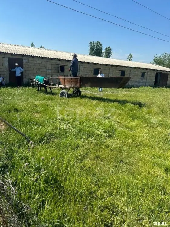 1 300 000 AZN - 0 m² Obyekt / Ofis , Göyçay