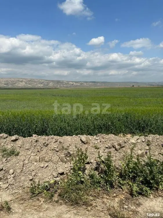 1 300 000 AZN - 0 m² Obyekt / Ofis , Göyçay