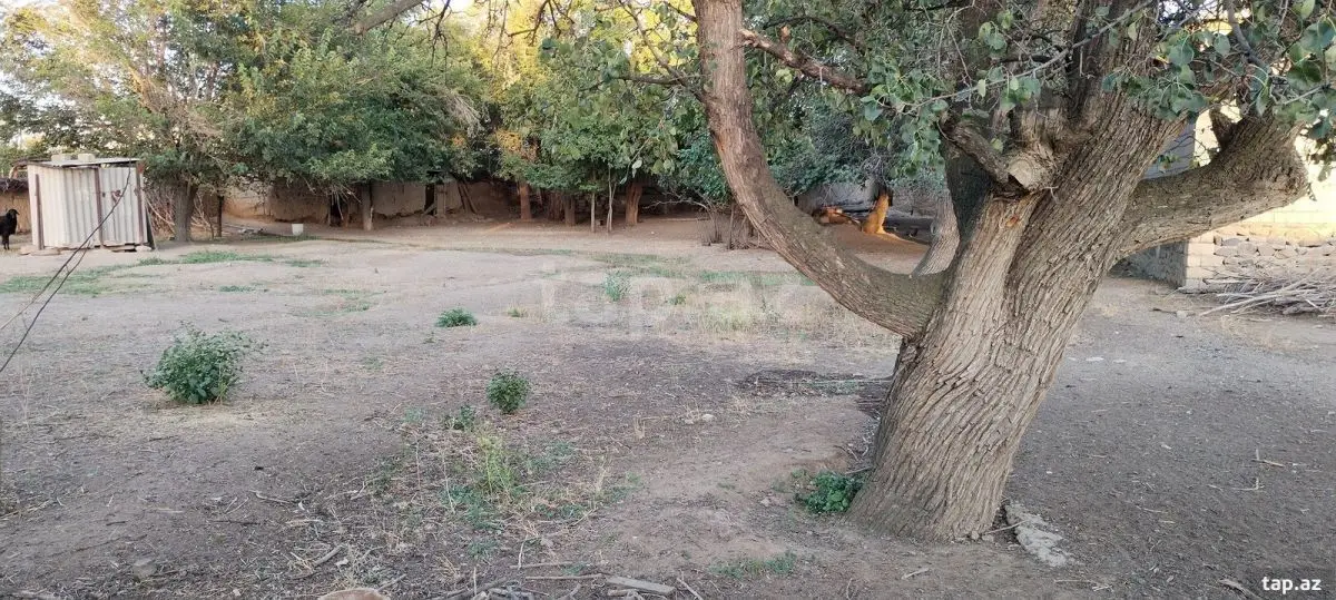 99 000 AZN - 0 m² Obyekt / Ofis , Naxçıvan MR