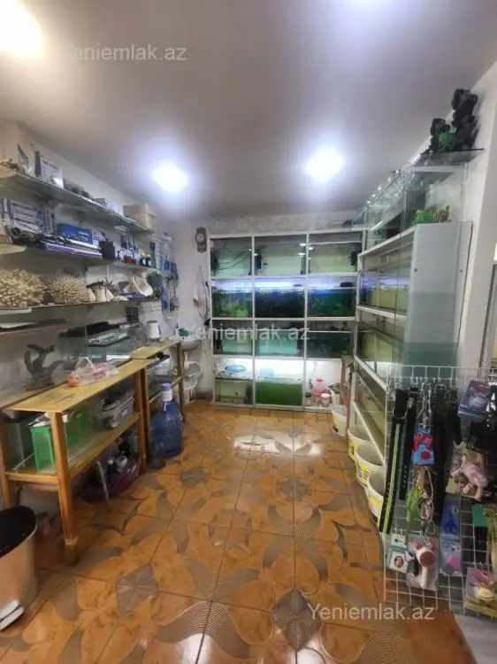 2 800 AZN - 65 m² Obyekt / Ofis Kirayə (aylıq), Yasamal qəs., Yasamal, Bakı