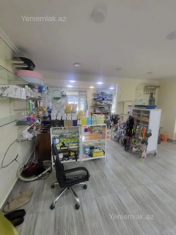 2 800 AZN - 65 m² Obyekt / Ofis Kirayə (aylıq), Yasamal qəs., Yasamal, Bakı