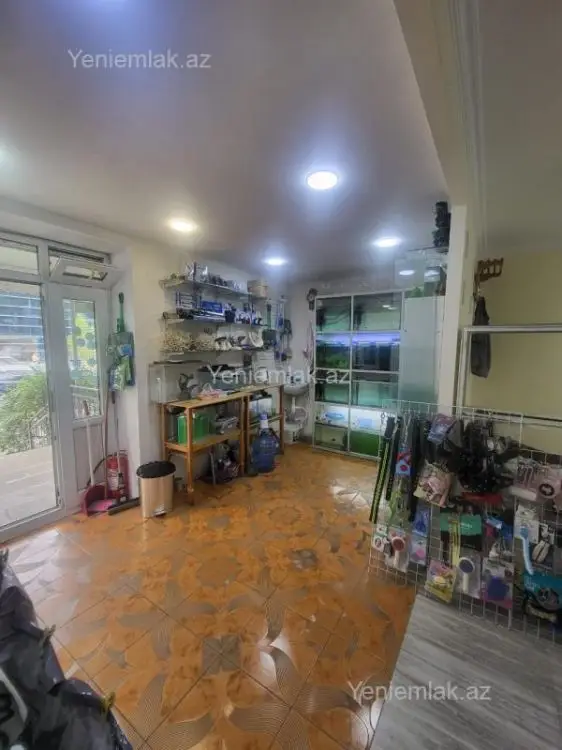 2 800 AZN - 65 m² Obyekt / Ofis Kirayə (aylıq), Yasamal qəs., Yasamal, Bakı