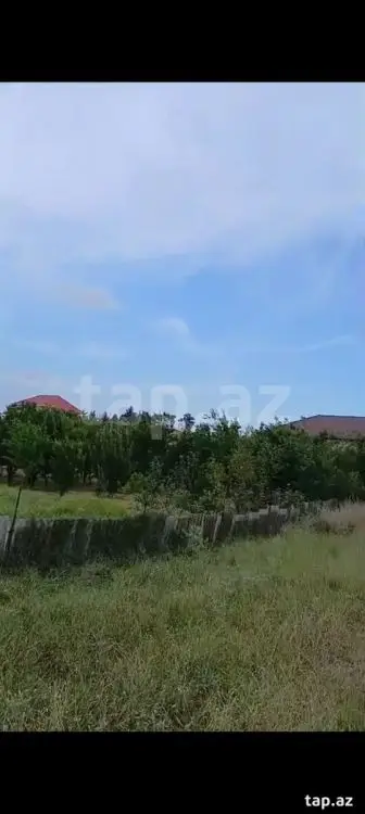 24 000 AZN - 0 m² Obyekt / Ofis , Tovuz