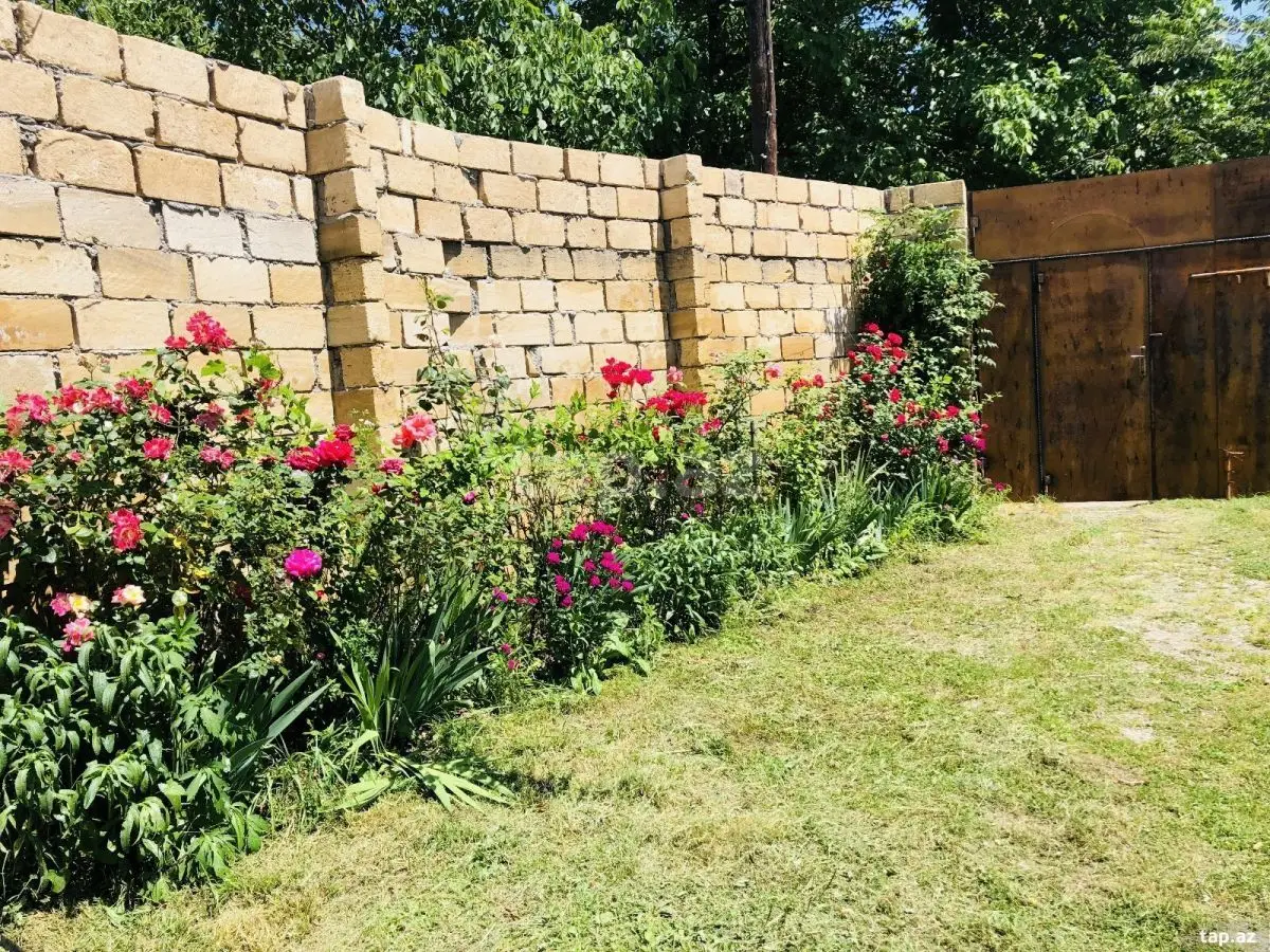 500 AZN - 3 otaqlı mənzil Kirayə (aylıq), Qəbələ