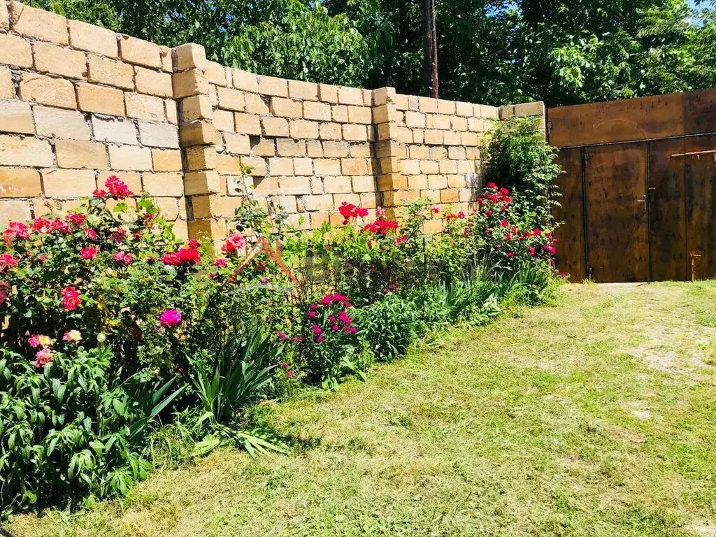 500 AZN - 3 otaqlı mənzil Kirayə (aylıq), Qəbələ
