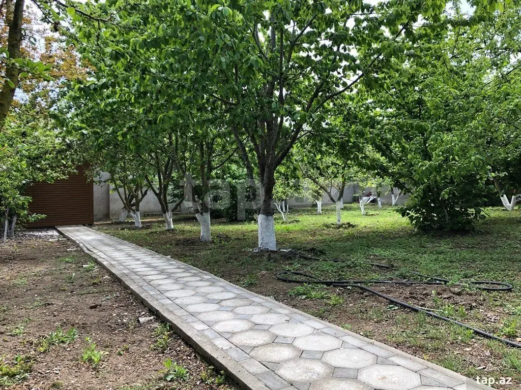 275 000 AZN - 5 otaqlı mənzil , Nabran