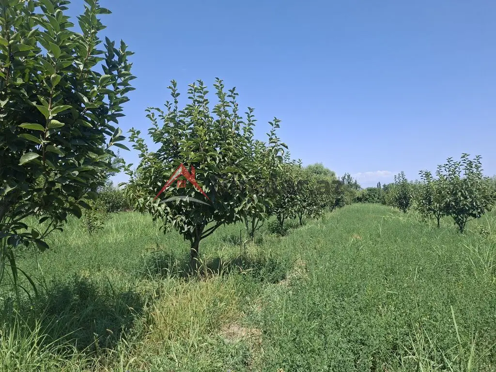 40 000 AZN - 100 sot Torpaq Satılır, Göyçay
