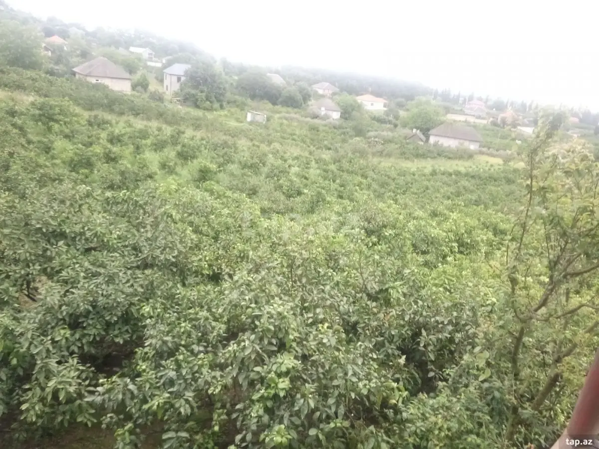 30 000 AZN - 0 m² Obyekt / Ofis , Astara