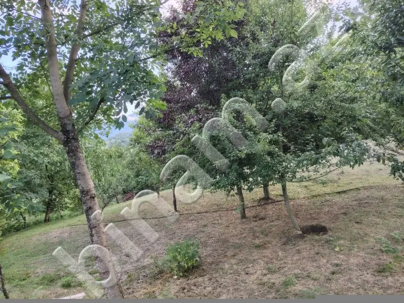 5 500 AZN - 4 sot Torpaq Satılır, Lerik