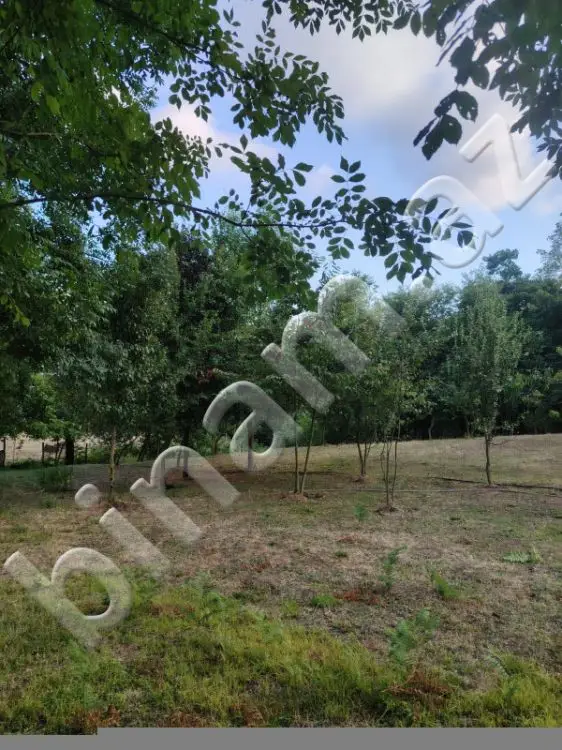 5 500 AZN - 4 sot Torpaq Satılır, Lerik