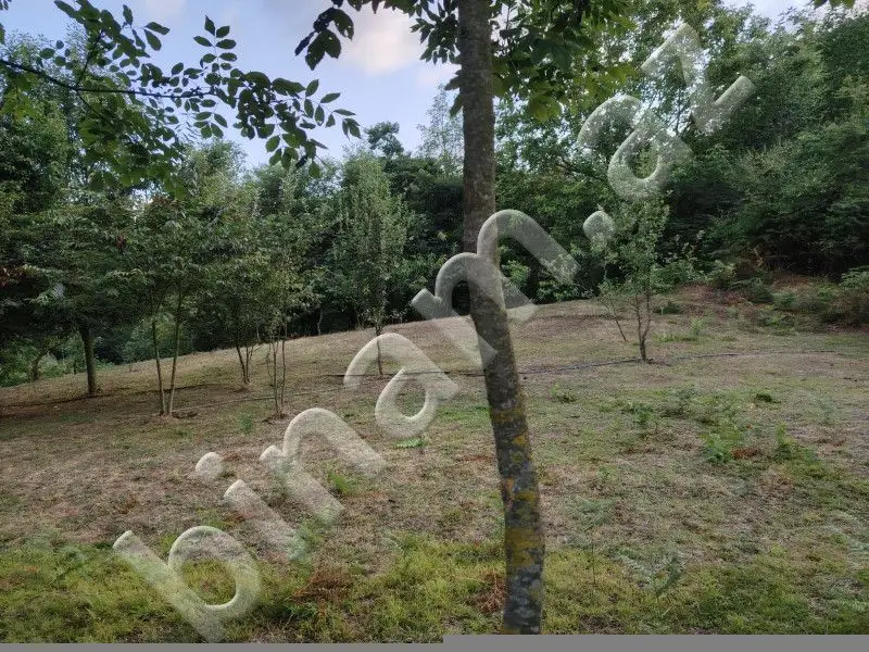 5 500 AZN - 4 sot Torpaq Satılır, Lerik