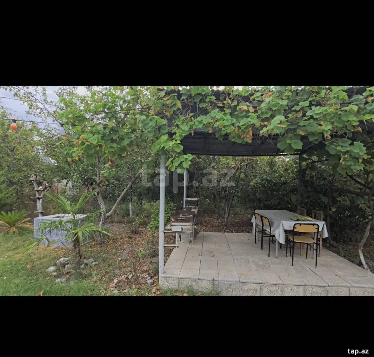 500 AZN - 3 otaqlı mənzil Kirayə (aylıq), Qəbələ