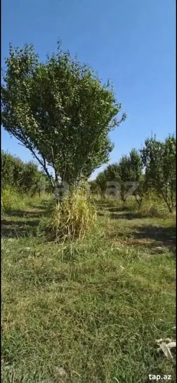 110 000 AZN - 0 m² Obyekt / Ofis , Göyçay