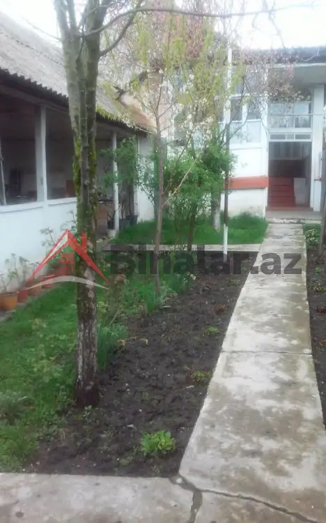 80 AZN - 3 otaqlı mənzil Kirayə (aylıq), Qəbələ