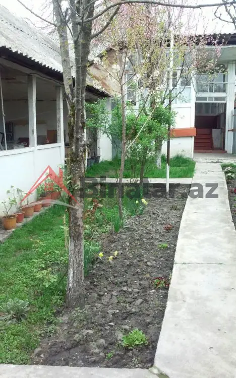 80 AZN - 3 otaqlı mənzil Kirayə (aylıq), Qəbələ