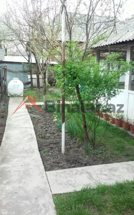 80 AZN - 3 otaqlı mənzil Kirayə (aylıq), Qəbələ