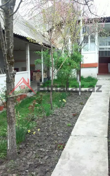 80 AZN - 3 otaqlı mənzil Kirayə (aylıq), Qəbələ