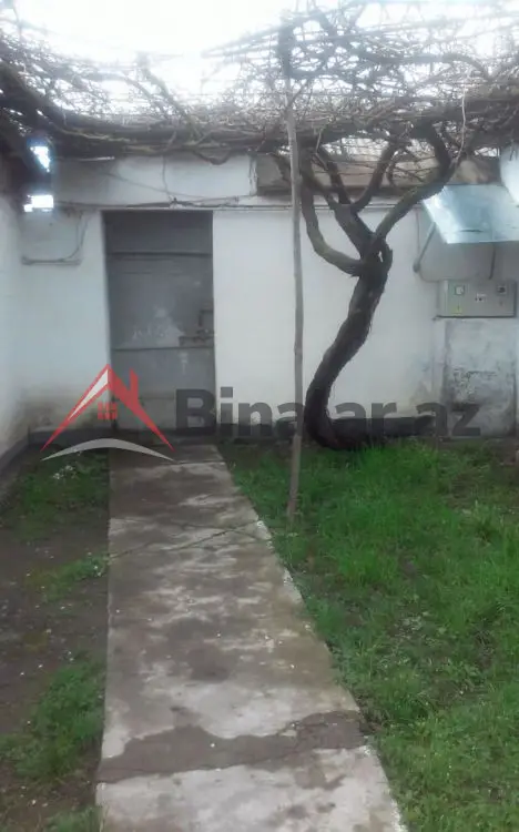 80 AZN - 3 otaqlı mənzil Kirayə (aylıq), Qəbələ