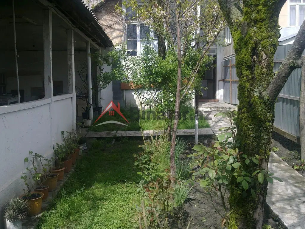 80 AZN - 3 otaqlı mənzil Kirayə (aylıq), Qəbələ