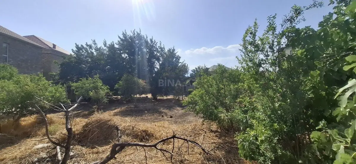 205 000 AZN - 10 sot Torpaq Satılır, Mehdiabad, Abşeron