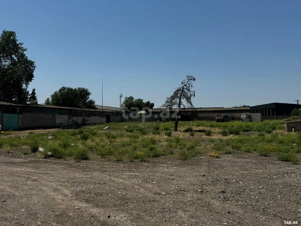 450 000 AZN - 0 m² Obyekt / Ofis , İmişli