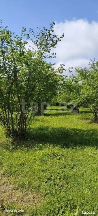 50 000 AZN - 0 m² Obyekt / Ofis , Qax