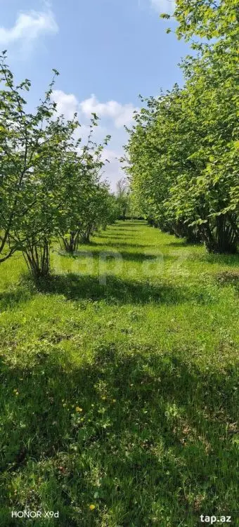 50 000 AZN - 0 m² Obyekt / Ofis , Qax