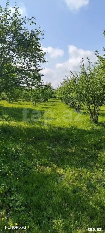 50 000 AZN - 0 m² Obyekt / Ofis , Qax