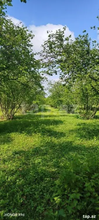 50 000 AZN - 0 m² Obyekt / Ofis , Qax