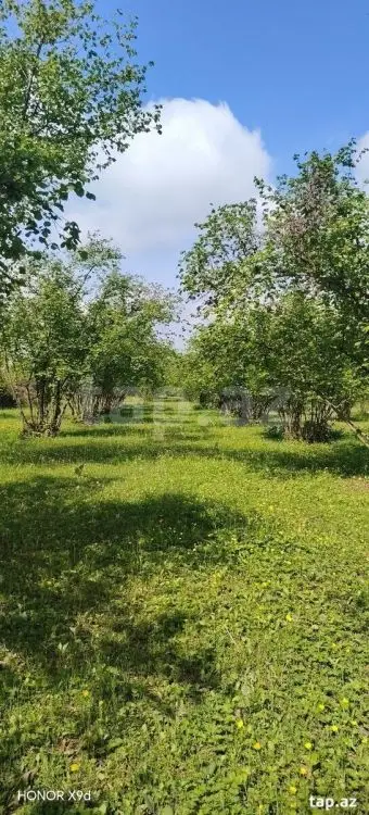 50 000 AZN - 0 m² Obyekt / Ofis , Qax