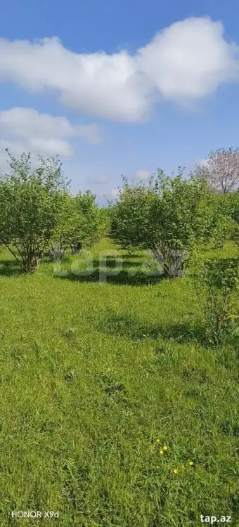 50 000 AZN - 0 m² Obyekt / Ofis , Qax