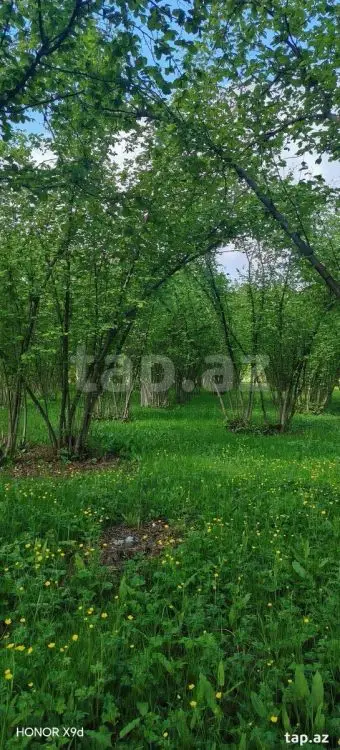 50 000 AZN - 0 m² Obyekt / Ofis , Qax