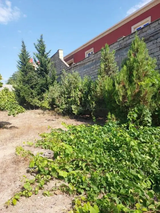 62 500 AZN - 5 sot Torpaq Satılır, Pirallahı, Bakı