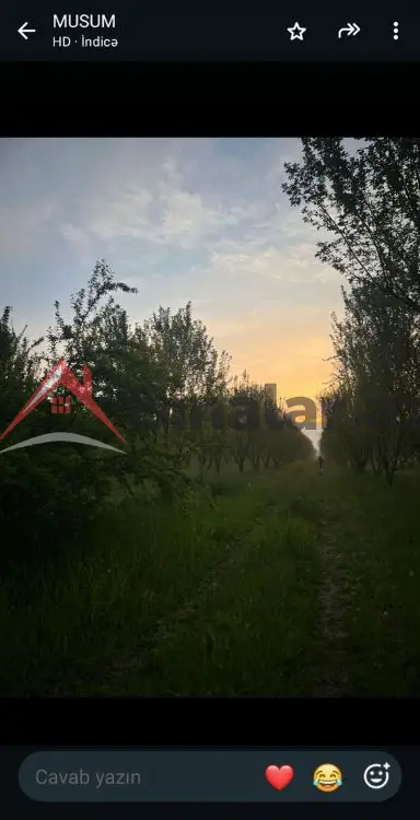 110 000 AZN - 200 sot Torpaq Satılır, Göyçay