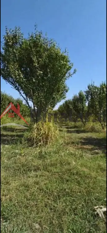 110 000 AZN - 200 sot Torpaq Satılır, Göyçay
