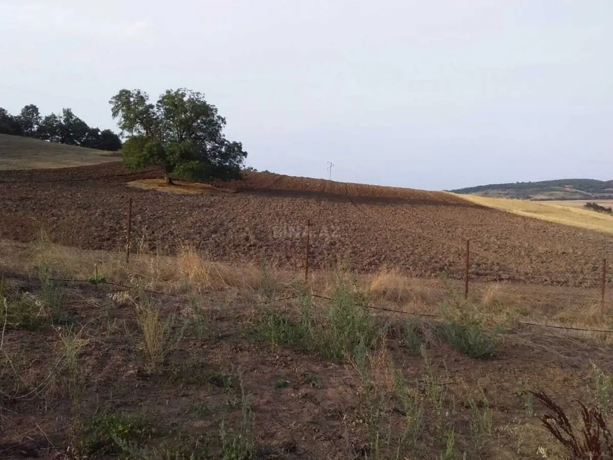30 000 AZN - 153 sot Torpaq Satılır, Şabran