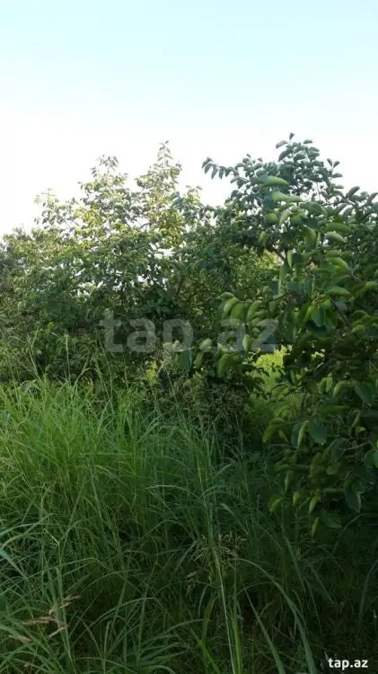 36 000 AZN - 0 m² Obyekt / Ofis , Göyçay