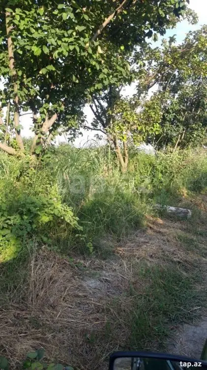 36 000 AZN - 0 m² Obyekt / Ofis , Göyçay