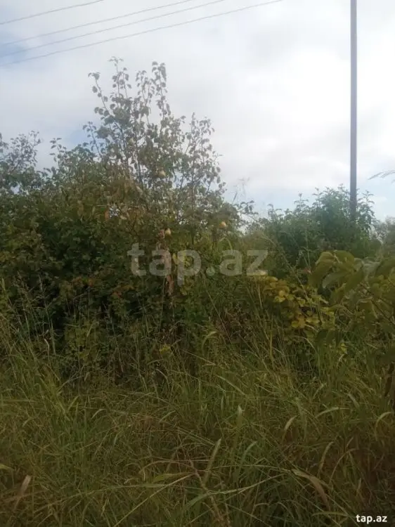 36 000 AZN - 0 m² Obyekt / Ofis , Göyçay