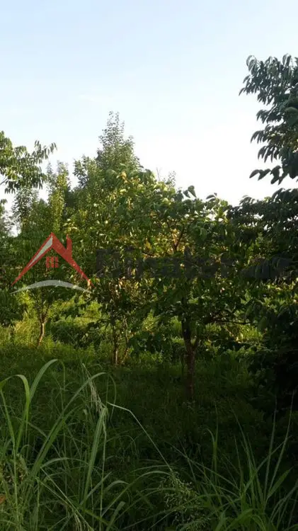 36 000 AZN - 300 sot Torpaq Satılır, Göyçay