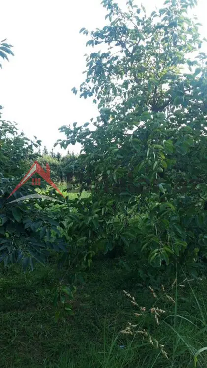 36 000 AZN - 300 sot Torpaq Satılır, Göyçay