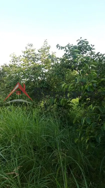36 000 AZN - 300 sot Torpaq Satılır, Göyçay