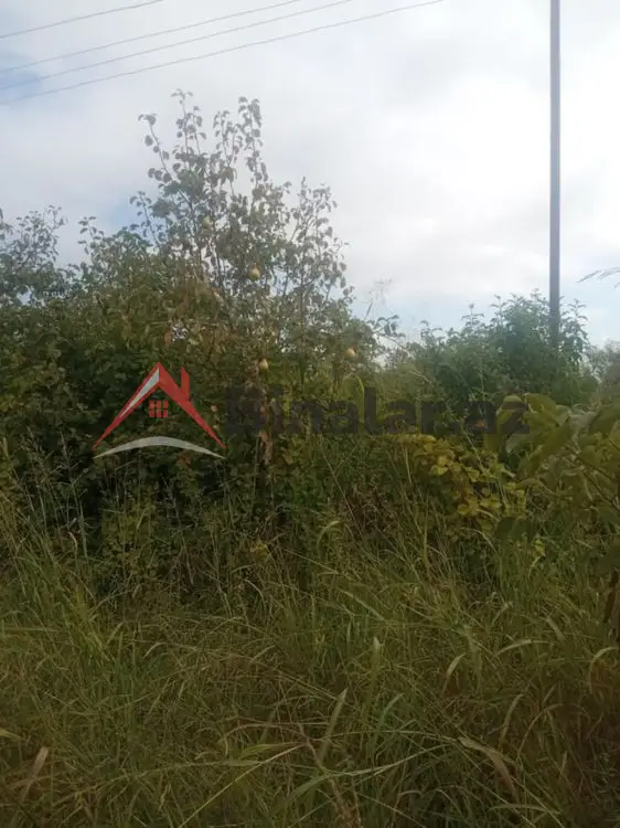36 000 AZN - 300 sot Torpaq Satılır, Göyçay