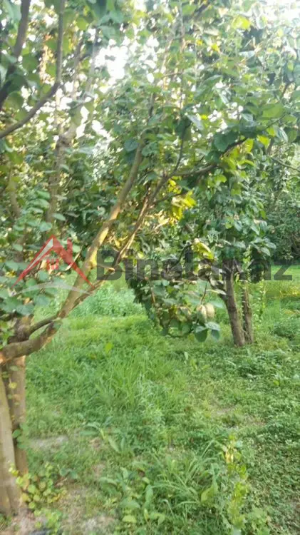 36 000 AZN - 300 sot Torpaq Satılır, Göyçay