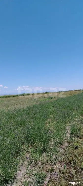 20 000 AZN - 0 m² Obyekt / Ofis , Ağdaş