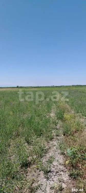 20 000 AZN - 0 m² Obyekt / Ofis , Ağdaş