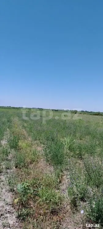 20 000 AZN - 0 m² Obyekt / Ofis , Ağdaş