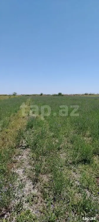 20 000 AZN - 0 m² Obyekt / Ofis , Ağdaş