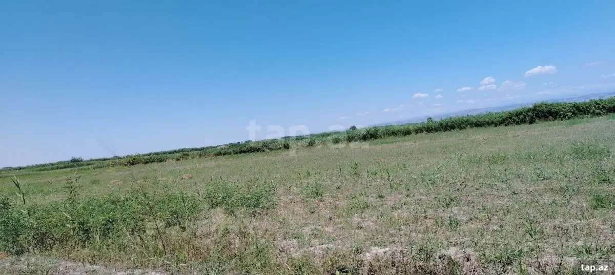 20 000 AZN - 0 m² Obyekt / Ofis , Ağdaş
