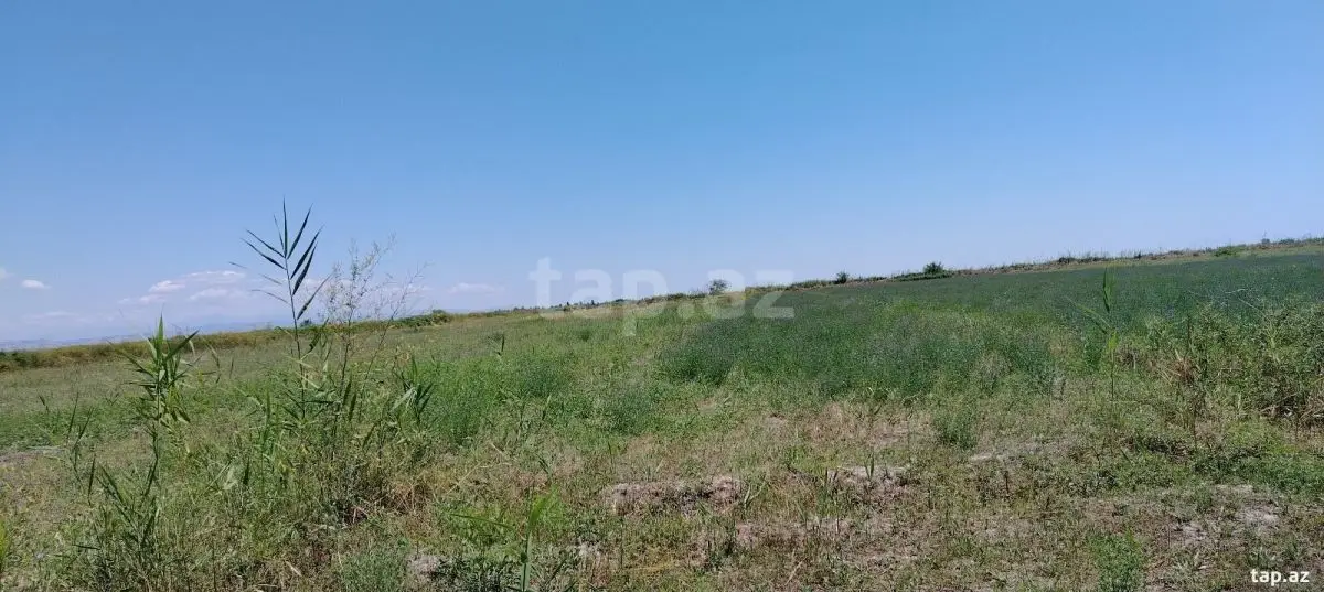 20 000 AZN - 0 m² Obyekt / Ofis , Ağdaş